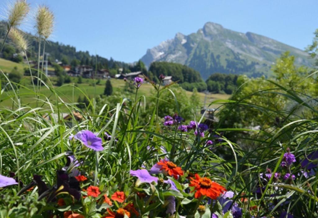 Hotel La Montagne La Clusaz Εξωτερικό φωτογραφία